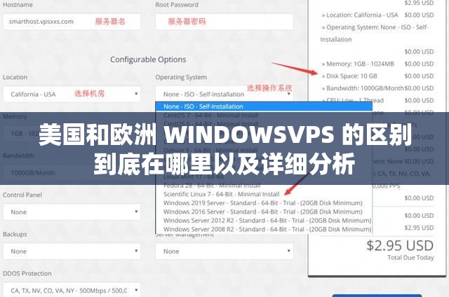 美国和欧洲 WINDOWSVPS 的区别到底在哪里以及详细分析