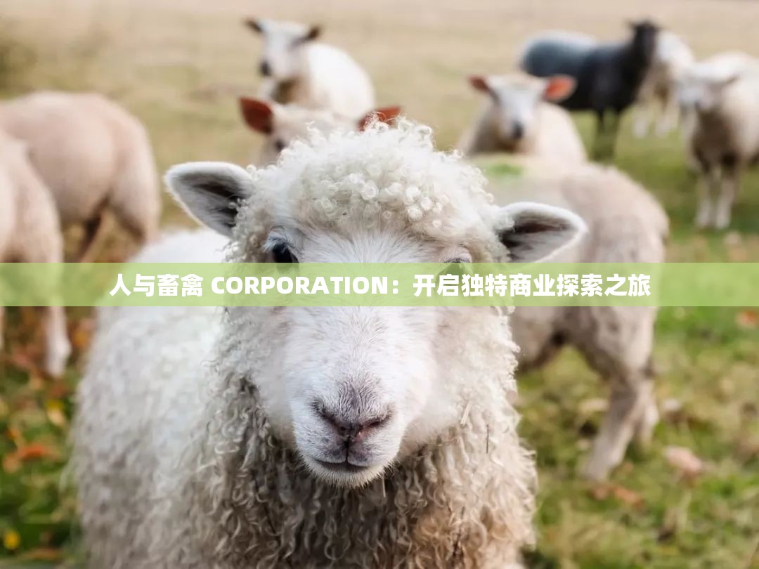 人与畜禽 CORPORATION：开启独特商业探索之旅