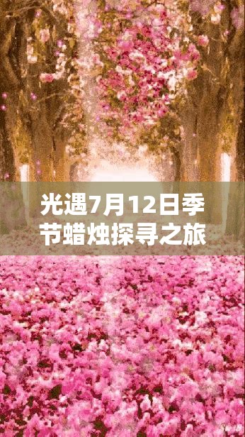 光遇7月12日季节蜡烛探寻之旅全面启动，点亮你的奇妙探险与发现之路