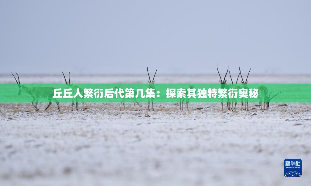 丘丘人繁衍后代第几集：探索其独特繁衍奥秘