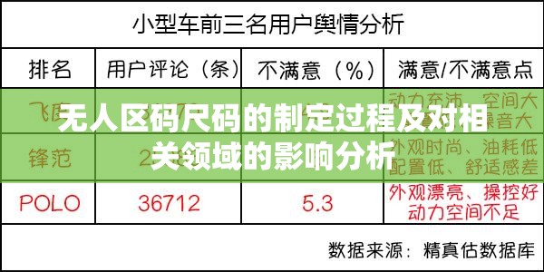 无人区码尺码的制定过程及对相关领域的影响分析