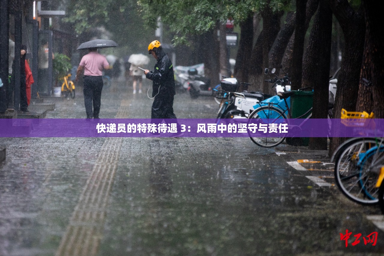 快递员的特殊待遇 3：风雨中的坚守与责任