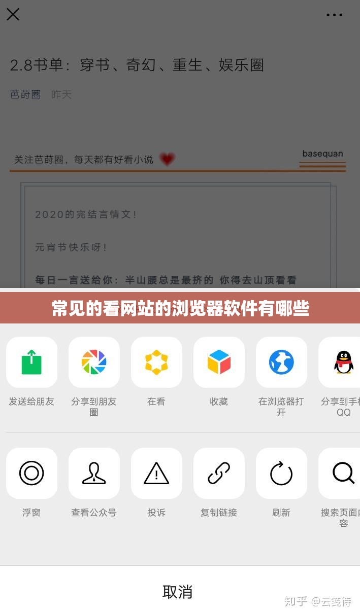 看网站不受限制的浏览器有哪些=哪些浏览器可以看禁止访问的网站