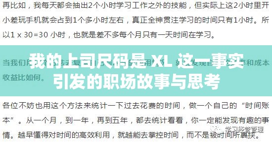 我的上司尺码是 XL 这一事实引发的职场故事与思考