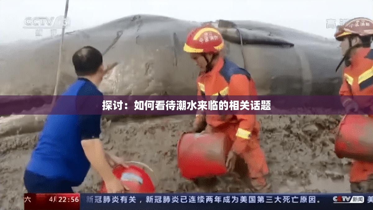 探讨：如何看待潮水来临的相关话题
