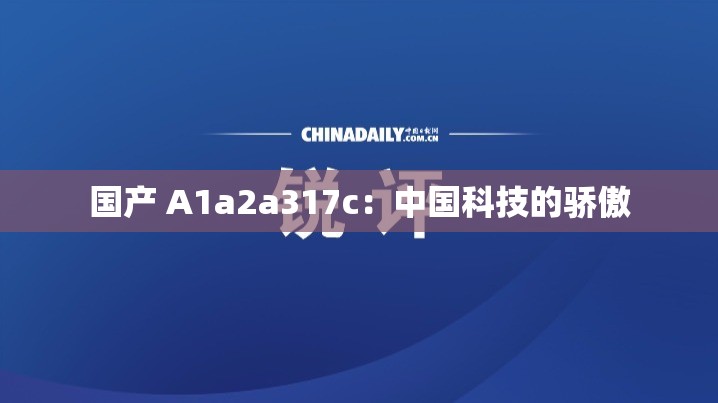 国产 A1a2a317c：中国科技的骄傲