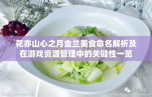 花亦山心之月金兰美食命名解析及在游戏资源管理中的关键性一览