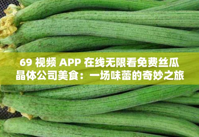 69 视频 APP 在线无限看免费丝瓜晶体公司美食：一场味蕾的奇妙之旅