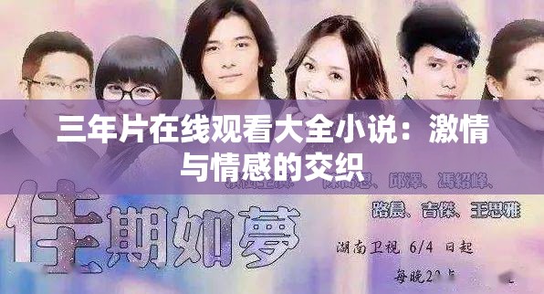 三年片在线观看大全小说：激情与情感的交织