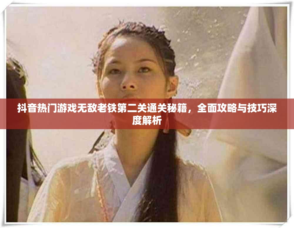 抖音热门游戏无敌老铁第二关通关秘籍，全面攻略与技巧深度解析