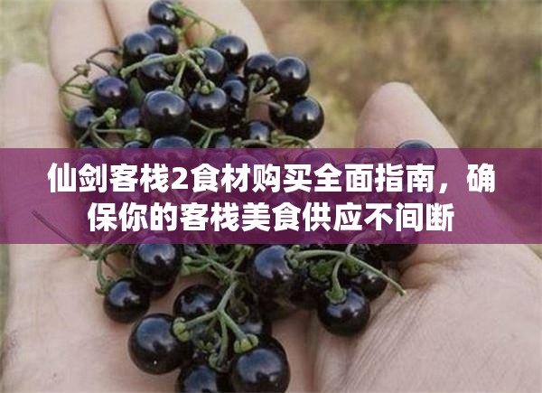 仙剑客栈2食材购买全面指南，确保你的客栈美食供应不间断