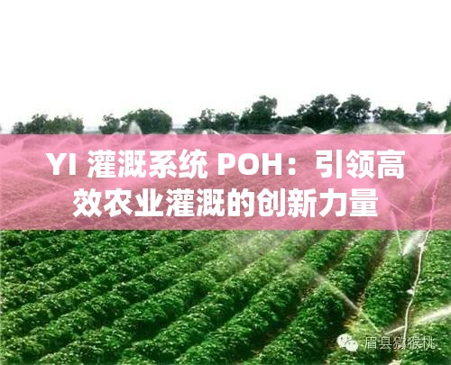 YI 灌溉系统 POH：引领高效农业灌溉的创新力量