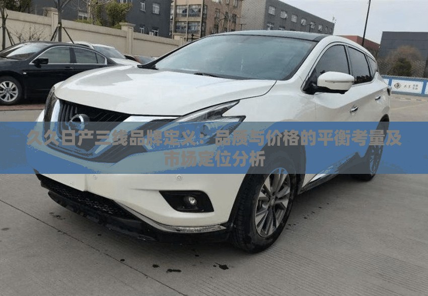 久久日产三线品牌定义：品质与价格的平衡考量及市场定位分析