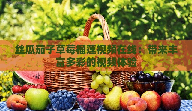 丝瓜茄子草莓榴莲视频在线：带来丰富多彩的视频体验