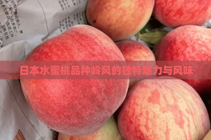 日本水蜜桃品种岭风的独特魅力与风味