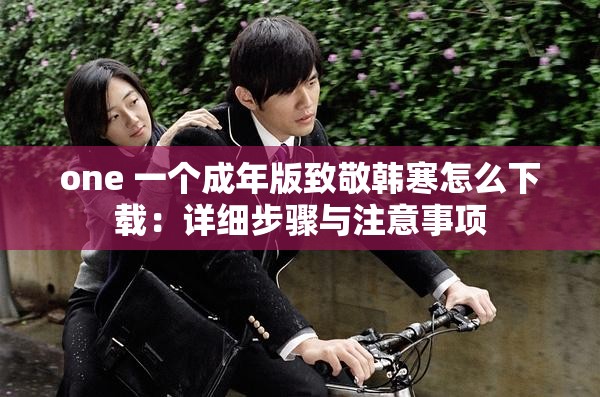 one 一个成年版致敬韩寒怎么下载：详细步骤与注意事项