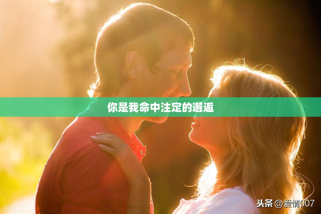 你是我命中注定的邂逅