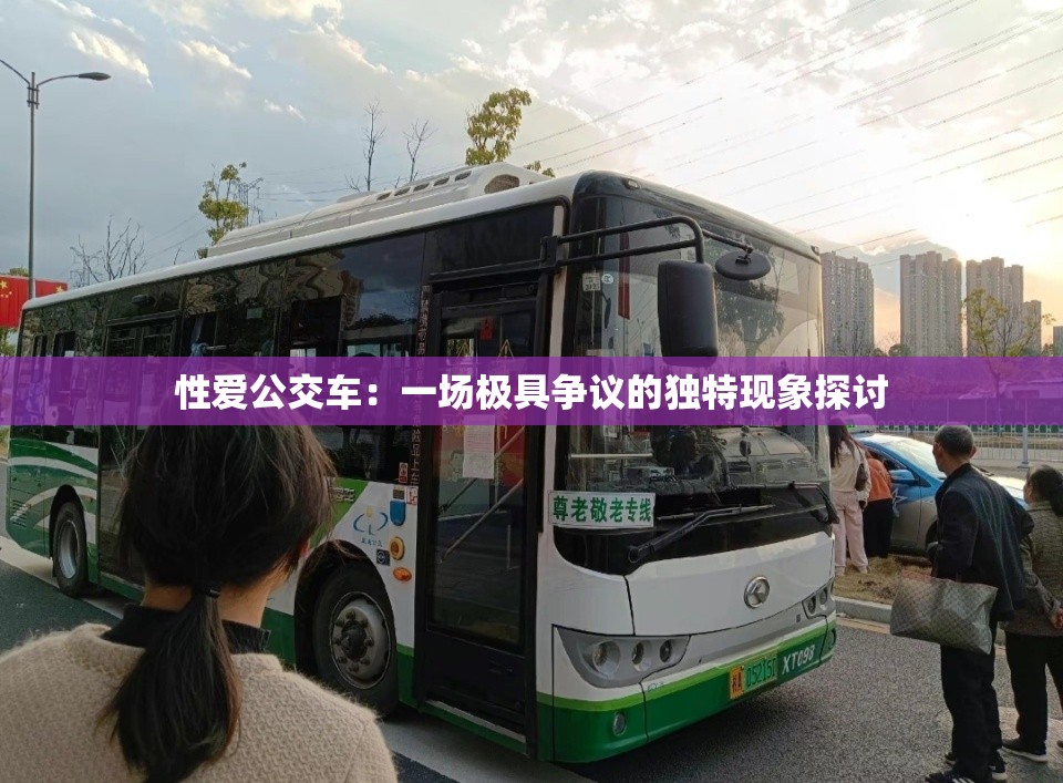 性爱公交车：一场极具争议的独特现象探讨