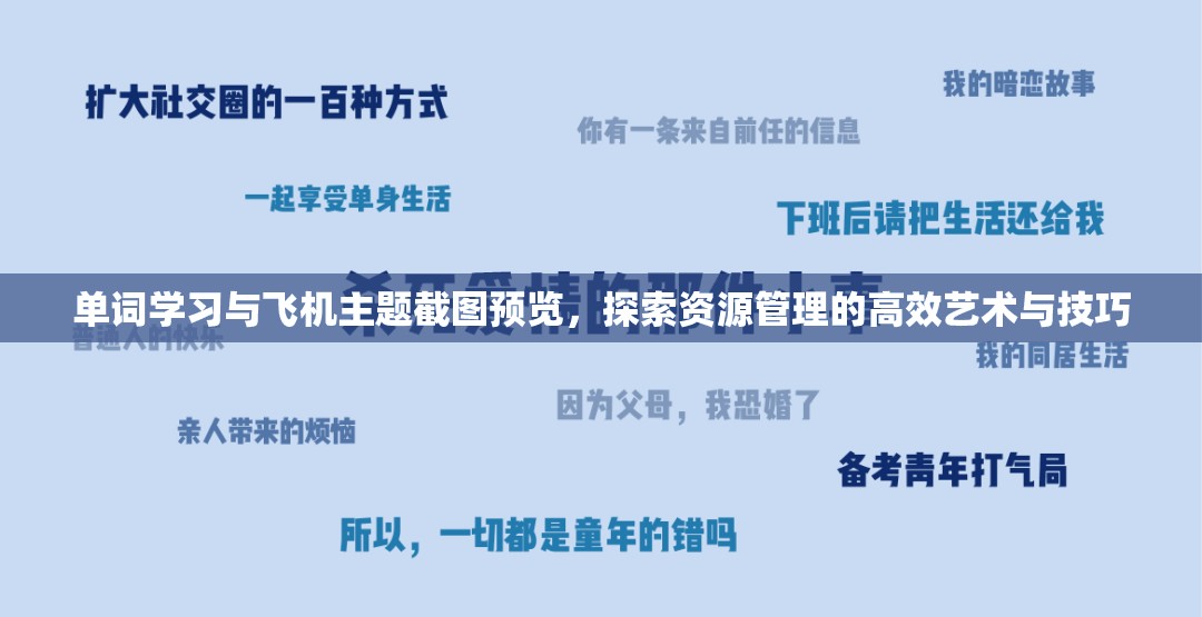 单词学习与飞机主题截图预览，探索资源管理的高效艺术与技巧
