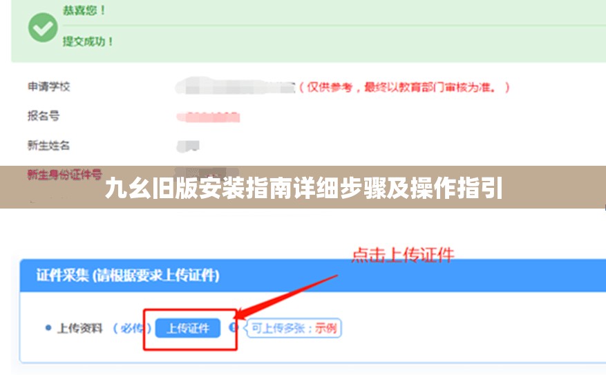 九幺旧版安装指南详细步骤及操作指引