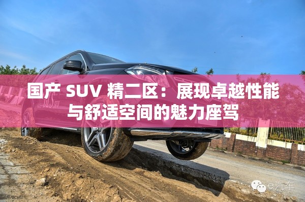 国产 SUV 精二区：展现卓越性能与舒适空间的魅力座驾