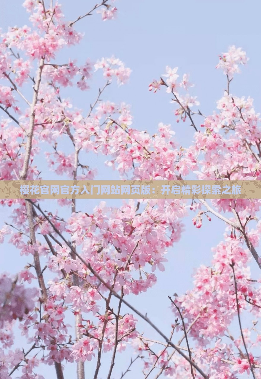 樱花官网官方入门网站网页版：开启精彩探索之旅