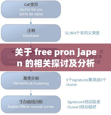 关于 free pron japen 的相关探讨及分析