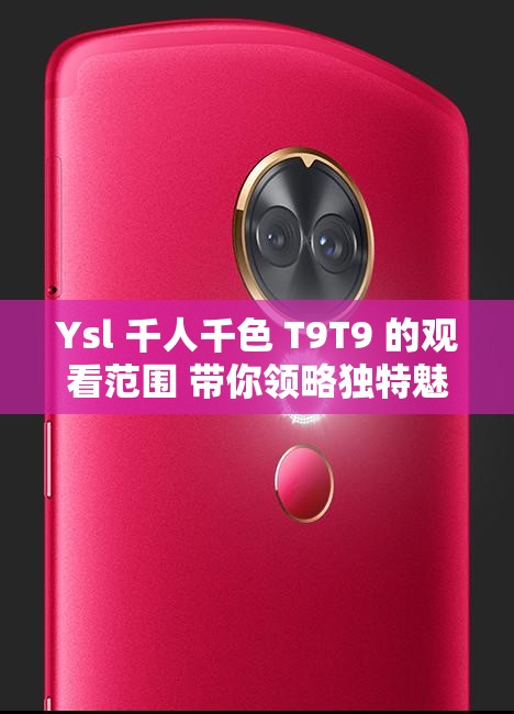 Ysl 千人千色 T9T9 的观看范围 带你领略独特魅力世界