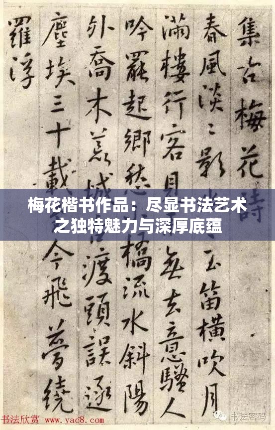 梅花楷书作品：尽显书法艺术之独特魅力与深厚底蕴