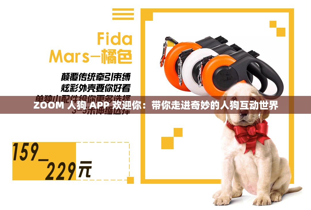 ZOOM 人狗 APP 欢迎你：带你走进奇妙的人狗互动世界
