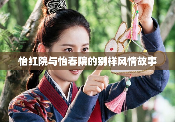 怡红院与怡春院的别样风情故事