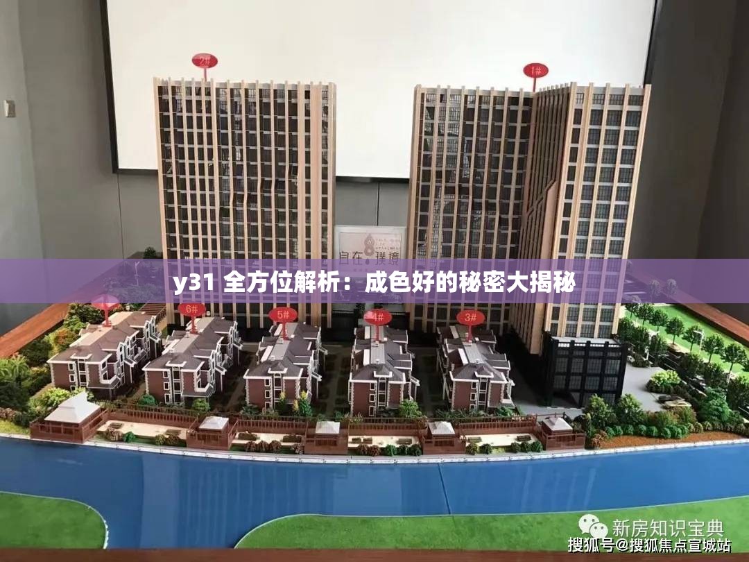 y31 全方位解析：成色好的秘密大揭秘