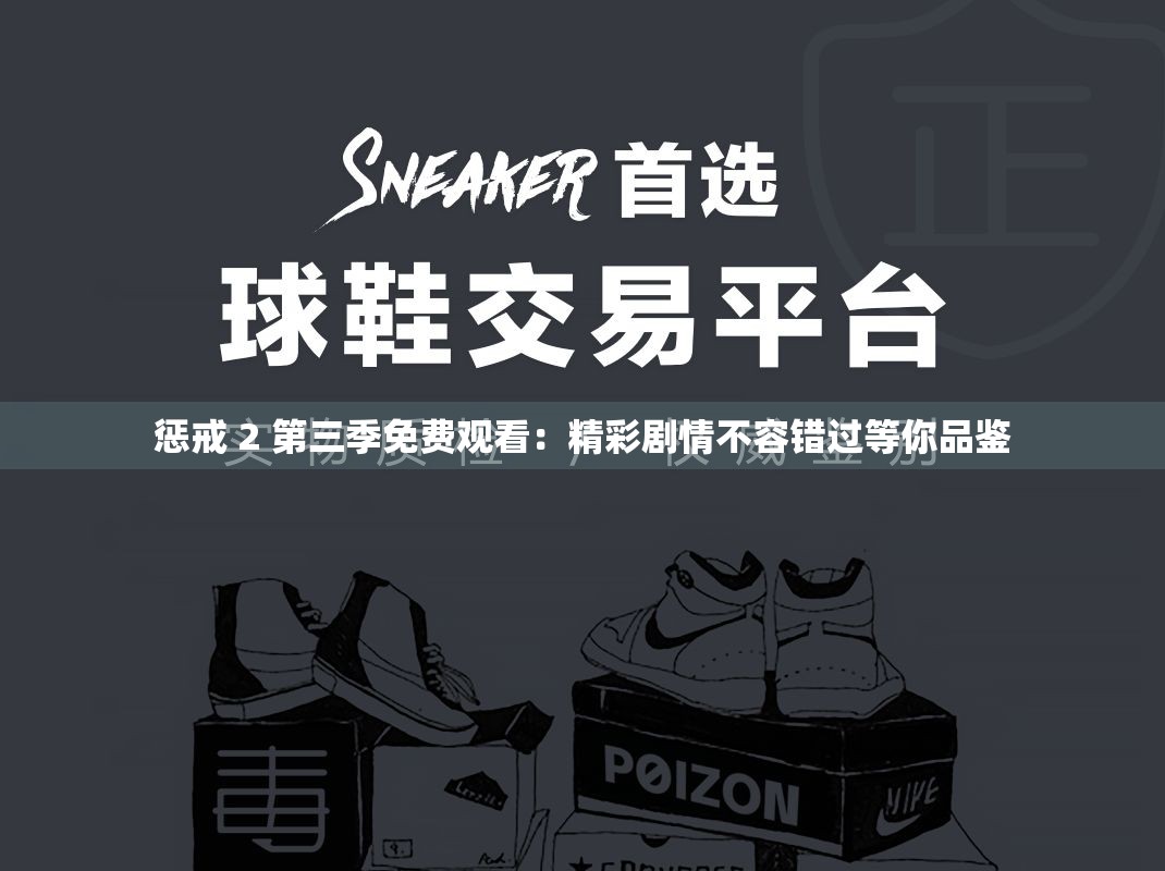 惩戒 2 第三季免费观看：精彩剧情不容错过等你品鉴