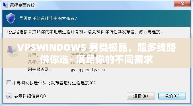 VPSWINDOWS 另类极品，超多线路供你选- 满足你的不同需求