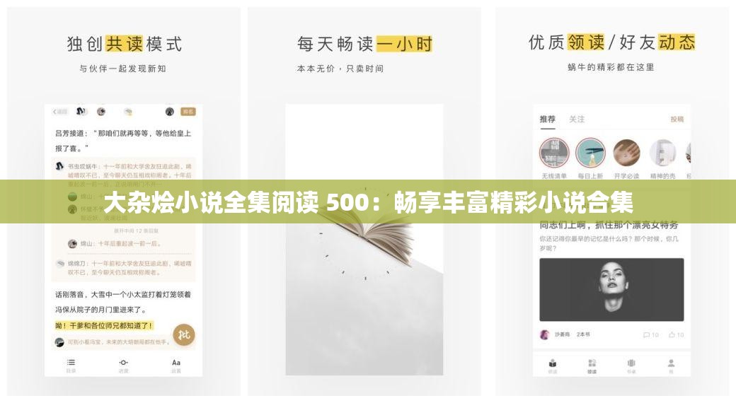 大杂烩小说全集阅读 500：畅享丰富精彩小说合集