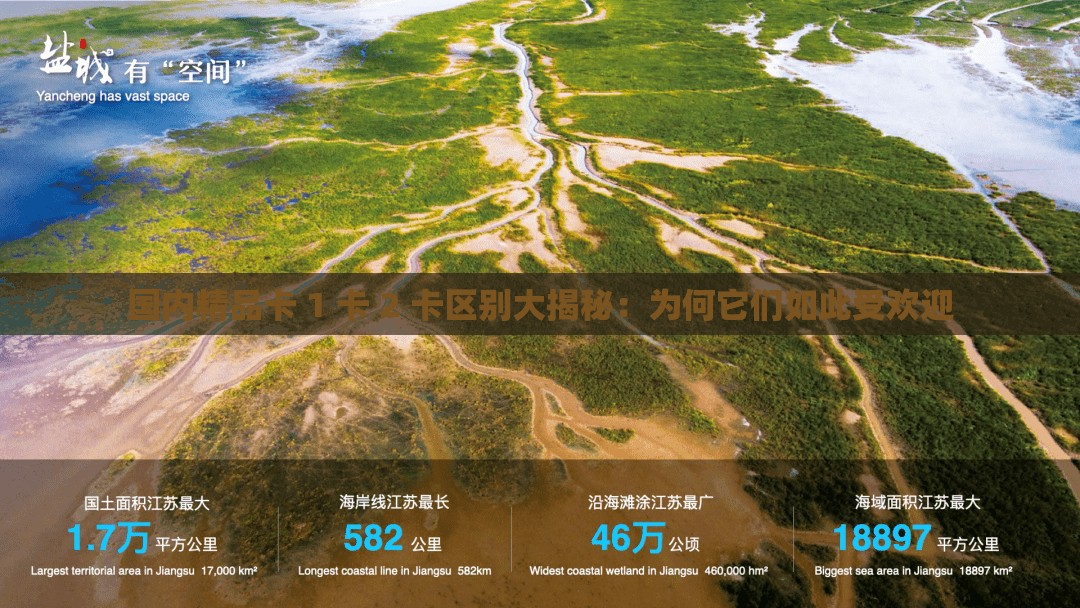国内精品卡 1 卡 2 卡区别大揭秘：为何它们如此受欢迎