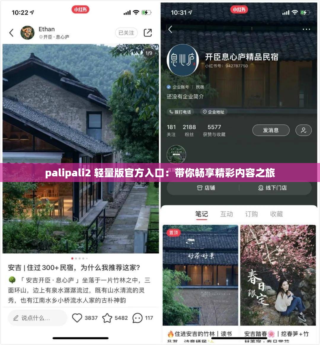 palipali2 轻量版官方入口：带你畅享精彩内容之旅