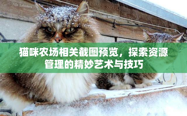 猫咪农场相关截图预览，探索资源管理的精妙艺术与技巧