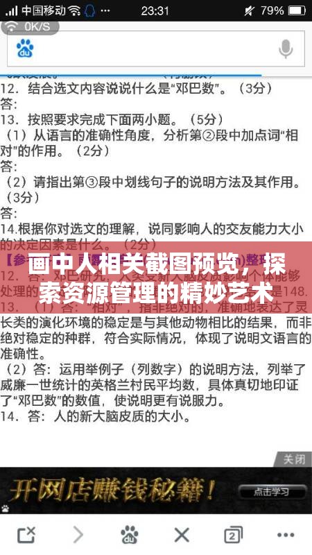 画中人相关截图预览，探索资源管理的精妙艺术与高效策略