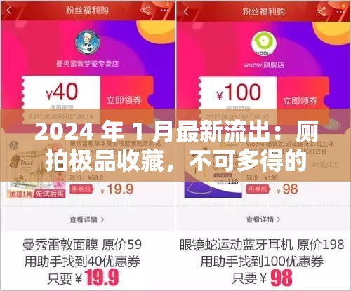 2024 年 1 月最新流出：厕拍极品收藏，不可多得的视觉盛宴