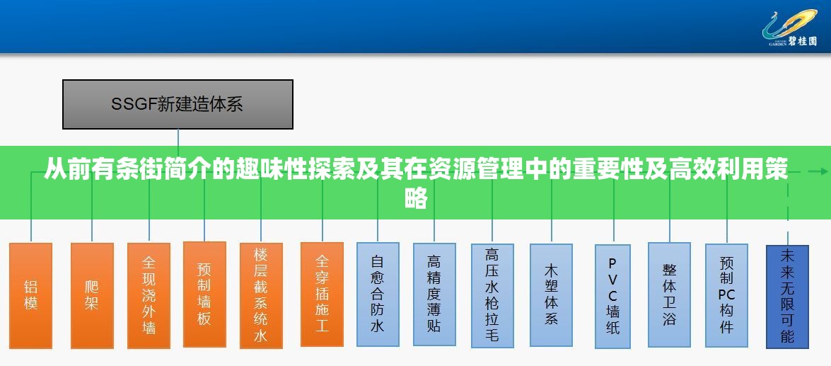 从前有条街简介的趣味性探索及其在资源管理中的重要性及高效利用策略