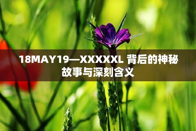 18MAY19—XXXXXL 背后的神秘故事与深刻含义