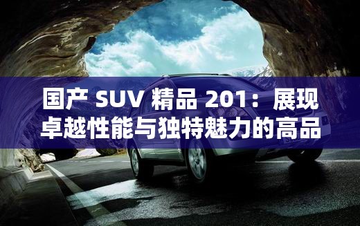 国产 SUV 精品 201：展现卓越性能与独特魅力的高品质汽车