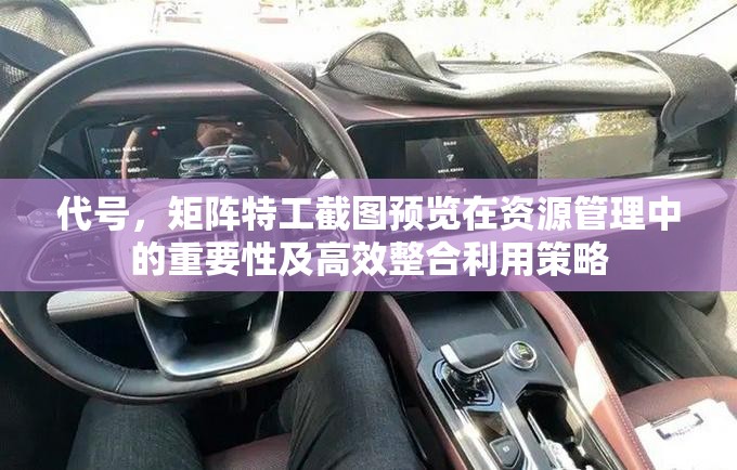 代号，矩阵特工截图预览在资源管理中的重要性及高效整合利用策略