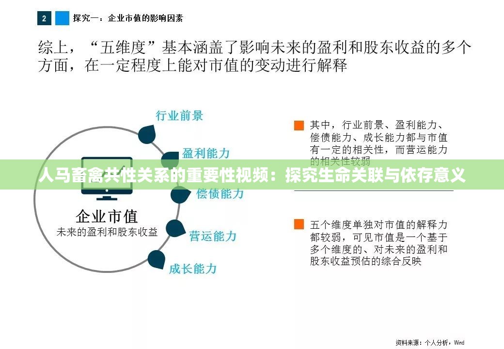 人马畜禽共性关系的重要性视频：探究生命关联与依存意义