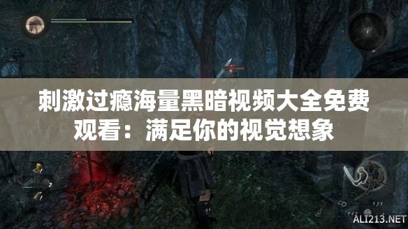 刺激过瘾海量黑暗视频大全免费观看：满足你的视觉想象