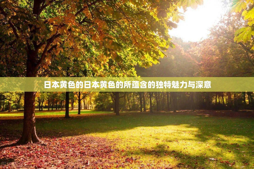 日本黄色的日本黄色的所蕴含的独特魅力与深意