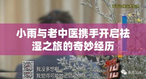 小雨与老中医携手开启祛湿之旅的奇妙经历