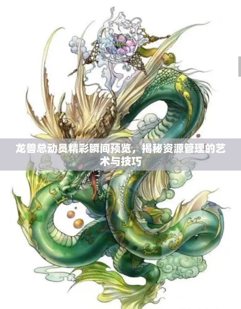 龙兽总动员精彩瞬间预览，揭秘资源管理的艺术与技巧